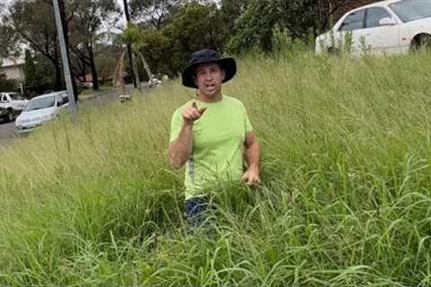 13 MILLION People Saw Us Help This Man! OVERGROWN Yard Makeover