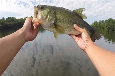 The Ultimate Guide to Bass Fishing in Northern VA