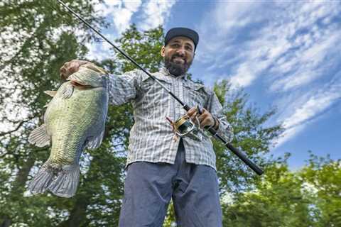 Minnow Fishing for Largemouth Bass: So Effective, It’s Almost Like Cheating!