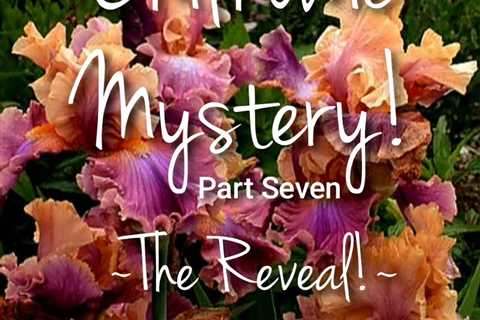 Chilhowie Mystery, Part Seven - The Reveal!