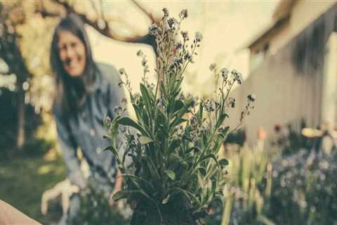 What are the two most important health benefits of gardening?