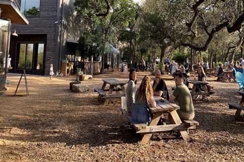 Picnic Spots in Dripping Springs, TX: Exploring the Best Areas