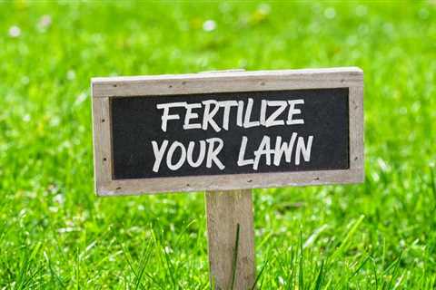 Do Organic Lawn Fertilizers Really Work