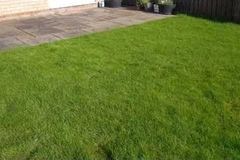 ONLY Scarifying? Heres what to expect