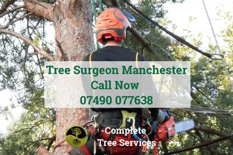 Pot House Tree Surgeon Tree Removal Dismantling & Felling Throughout Pot House