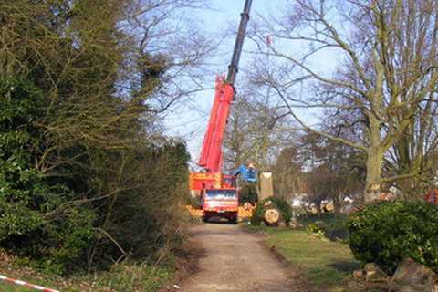 Tree Surgeon in Penketh Residential & Commercial Tree Removal Services