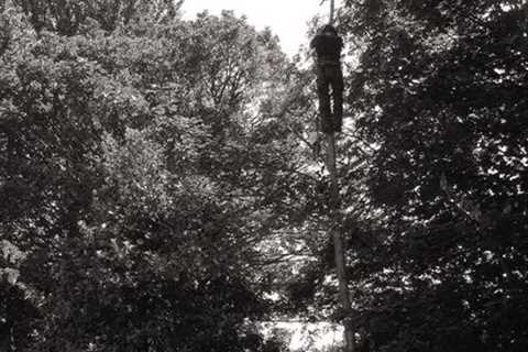 Tree Surgeon in Oldham Edge Commercial And Residential Tree Removal And Pruning Services