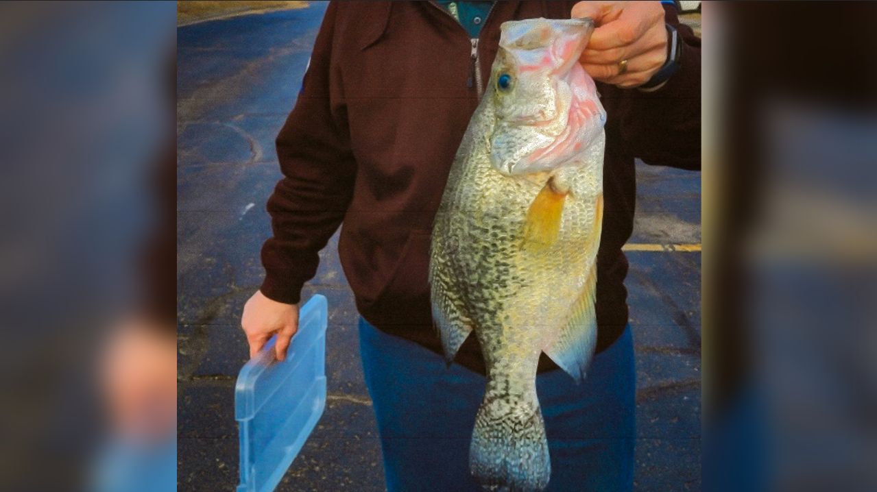 Kansas Fisherman Breaks Nearly 60-Year-Old State Fishing Record with “Catch-of-a-Lifetime” Crappie