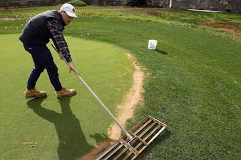 Fixing Up Bare Spots in My Lawn and Using The BEST Fertiliser