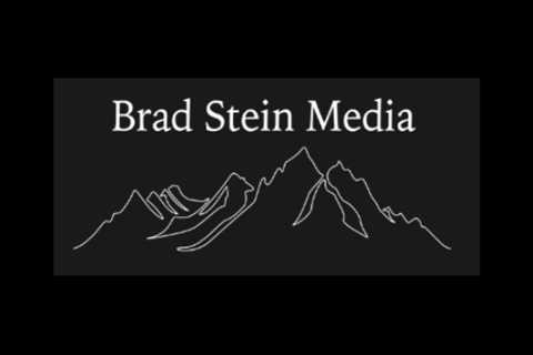 bradsteinmedia - Rakuten Viki