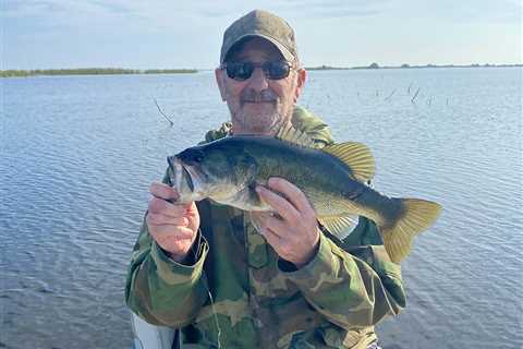 Lake Toho Bass Fishing: An Angler’s Guide