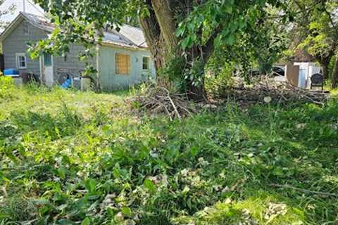 NATURE Ready To DEVOUR This Neglected Property & Then I Showed Up...