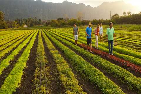 What Crops are Grown in Abundance on Oahu's Farms?