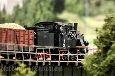 Highly Detailed Realistic HO Scale Model Railway from Poland - Scratch Built Narrow-Gauge Trains