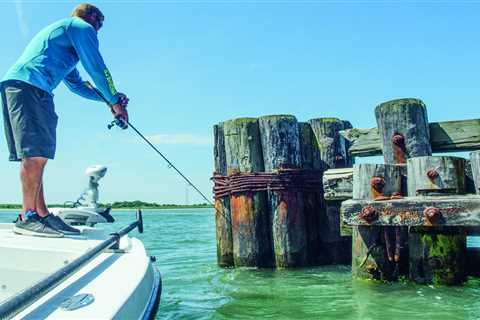 Bridge Fishing in the Back Bays