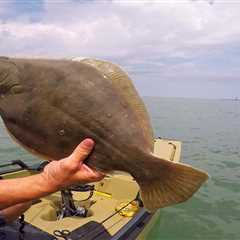 The Best Live Bait for Flounder and How to Rig It: Everything You Need to Know!