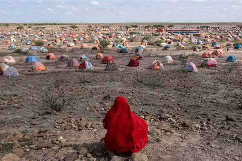 The Gear Used by World Press Photo 2023 Regional Winners