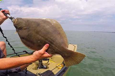 The Best Live Bait for Flounder and How to Rig It: Everything You Need to Know!