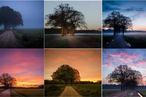 Have You Ever Made a Series of Landscape Photos From One Location?