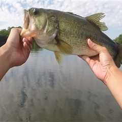 Bass Fishing in Northern Virginia: Techniques and Tips for a Guaranteed Catch