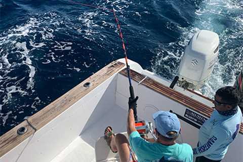 El Niño Warm Water Conditions Continue & The Marlin Are Around The Galapagos Islands