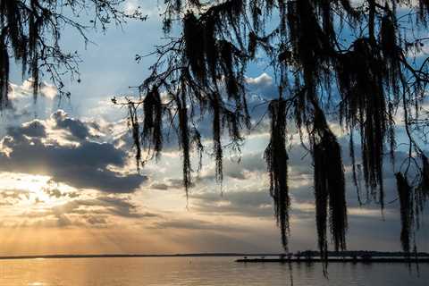 Lake Livingston Fishing: The Complete Guide