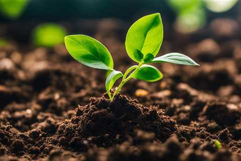 Boosting Green: Organic Strategies for Early Plant Growth Stages