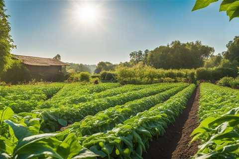 Green Bean Gardening: Organic Practices for a Bountiful Harvest