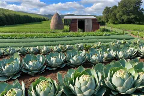 Organic Artichoke Cultivation: Growing for Flavorful Harvests