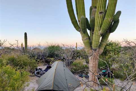 Baja’s Cape Loop: Desert Bikepacking Meets Mid-Winter Beach Vacation