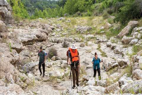 Exploring the Natural Beauty of Hays County, TX Trails