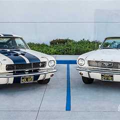 A Pair of '66 Ponies - Mustang Convertible & Shelby GT350 Tribute