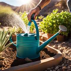 Hot Climate Raised Bed Watering Techniques