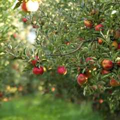 11 BEST Fruit Trees to Grow in Alaska (2023 Guide)