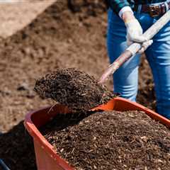 Stop the Mulch Blunder Ruining Your Garden: Effective Fixes Inside