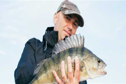 Gear Up For Success: Essential Equipment For Bass Fishing In Northern VA