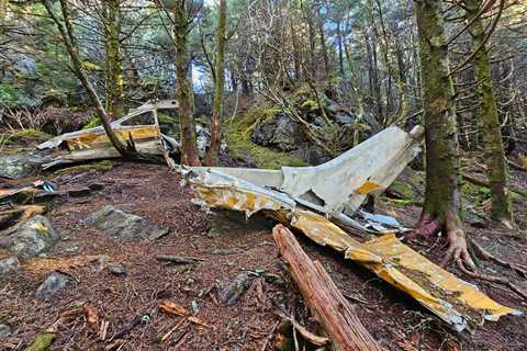 Hike to the Black Mountain Crest 182H Skylane N2350X Crash Site