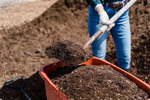 Stop the Mulch Blunder Ruining Your Garden: Effective Fixes Inside