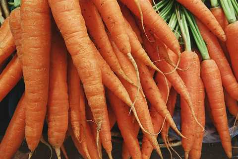 Why Organic Carrots Fail to Grow: Uncover the Shocking Truths