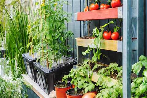 Reducing Food Transportation Costs: A Guide for Hydroponic Urban Gardeners