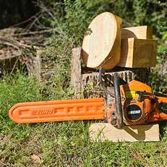 Mill your own woodturning blanks from “curbwood”