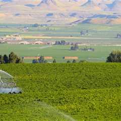 The Changing Landscape of Agriculture in Canyon County, ID