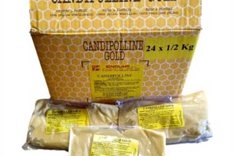 Beekeeping Supplies: Candipolline Gold - 3 Packs (1.5kg)