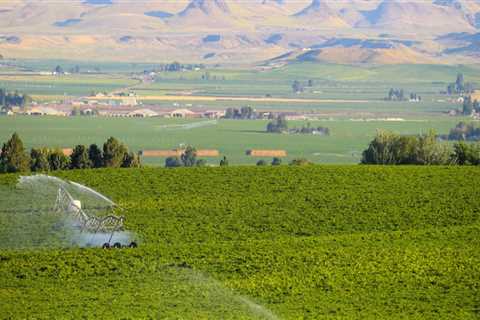 The Changing Landscape of Agriculture in Canyon County, ID