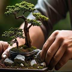 The Art of Bonsai in Honolulu: A Guide to Training and Caring for Your Miniature Trees