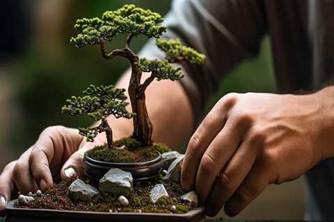 The Art of Bonsai in Honolulu: A Guide to Training and Caring for Your Miniature Trees