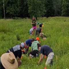 The Struggles of Protecting Plant Life in Anoka County, MN