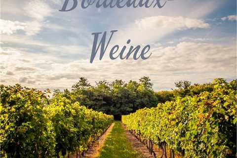 Die ersten Sorten von Cabernet Sauvignon und Merlot stammen aus Bordeaux. #genuss #weinkeller #wine ..