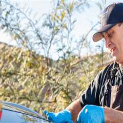 Auto Glass And Windshield Repair In San Diego: A Must-Do Before Detailing