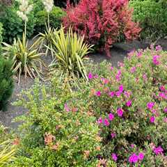 Designing a Sustainable Garden in King County, Washington